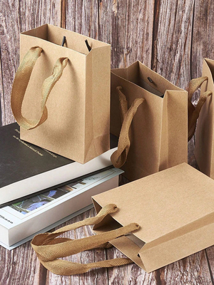 Customized Logo Papier Geschenk Taschen verdrehtem Griff Alle Gelegenheiten Schuh / Kleidung Verpackung