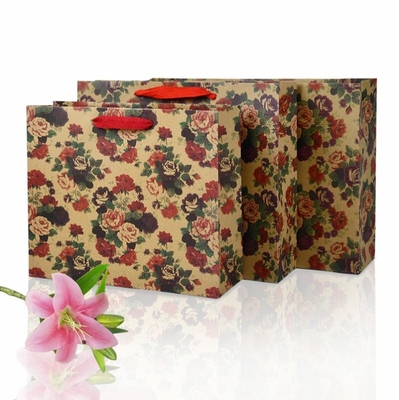 Umweltfreundlich Einfacher Stil Custom Printed Paper Bag sehr langlebig